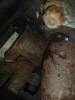  MOTOR COMPLETO FIAT GRANDE PUNTO (199) 