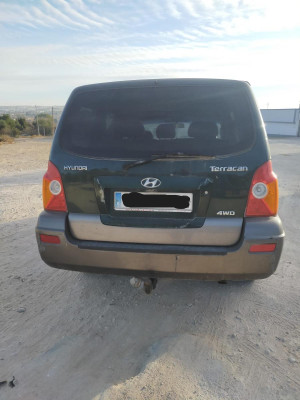 HYUNDAI TERRACAN (HP)