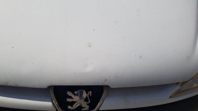 CAPO Peugeot 206 (1998->)