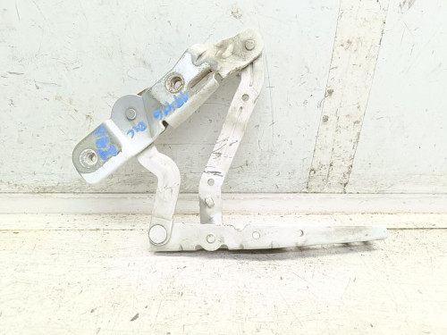 BISAGRA CAPO IZQUIERDA Ford TRANSIT CONNECT (CHC) 