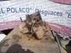 CAJA CAMBIOS PEUGEOT 306 3/5 PT. / 4 PT. (S2) 
