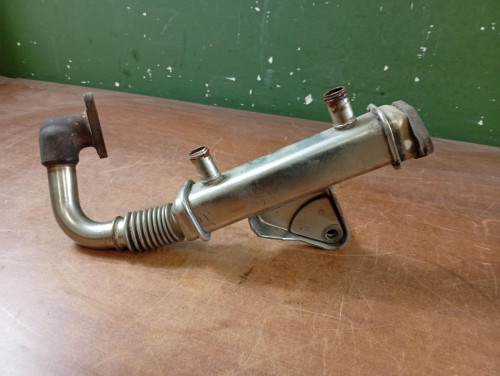 ENFRIADOR EGR NISSAN PATHFINDER (R51) 