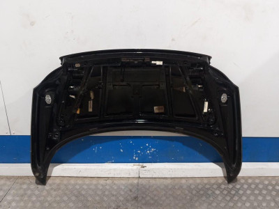 TAPA MALETERO, VOLKSWAGEN, EOS (1F8)(10.2010)
