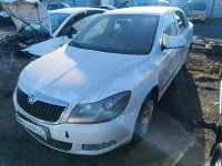 SKODA OCTAVIA BERLINA (1Z3)