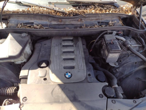  BMW SERIE X5 (E53) 