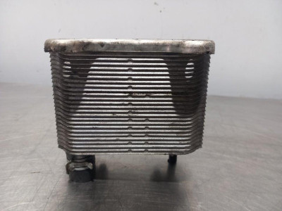 ENFRIADOR ACEITE MOTOR, MERCEDES-BENZ, CLASE E (BM 210) BERLINA