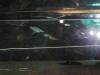  PUERTA TRASERA DERECHA OPEL VECTRA C BERLINA 