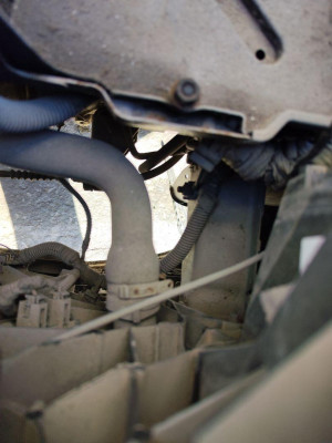 CLAXON, FIAT, II PANDA (169)