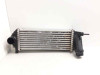 INTERCOOLER Renault KANGOO II (F/KW0) 