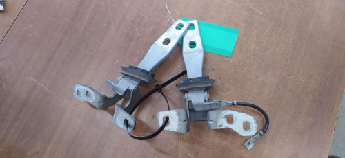 BISAGRA DERECHA PORTON BMW SERIE X3 (F25) 