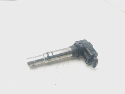 BOBINA ENCENDIDO, SEAT, IBIZA (6L1)