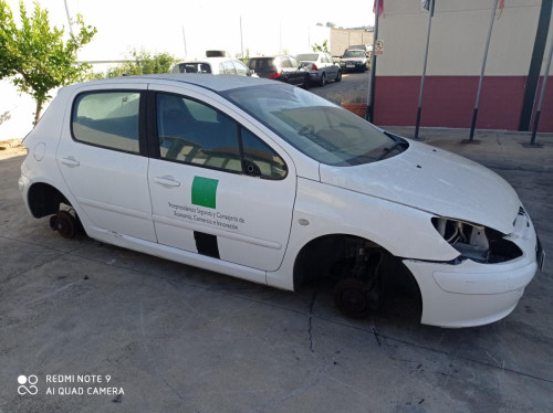  Peugeot 307 (S1)(04.2001->06.2005) SIN IDENTIFICAR 