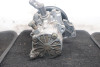  BOMBA DIRECCION MERCEDES-BENZ CLASE E (BM 210) BERLINA 