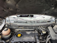TORPEDO