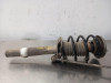 AMORTIGUADOR DELANTERO DERECHO BMW SERIE 7 (E65/E66) 