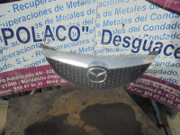 REJILLA DELANTERA