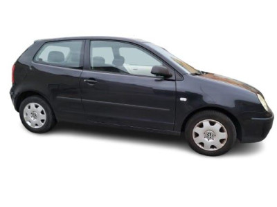 VOLKSWAGEN POLO IV (9N1)
