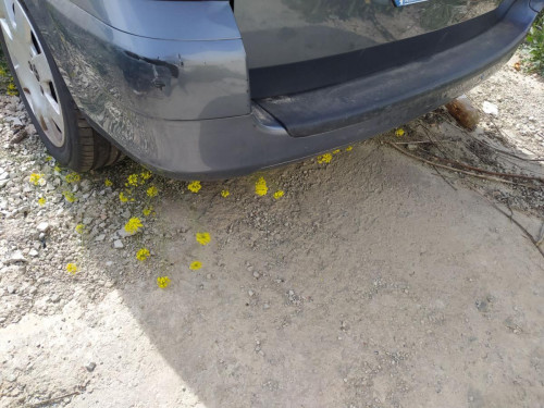  PARAGOLPES TRASERO PEUGEOT 307 BREAK/ SW (S2) 