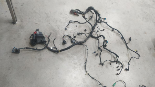 CABLEADO ELECTRICO Land Rover RANGE ROVER EVOQUE 