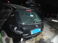 PEUGEOT 206 +
