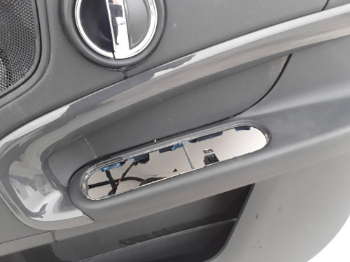 GUARNECIDO PUERTA DELANTERA DERECHA BMW MINI COUNTRYMAN (R60) 