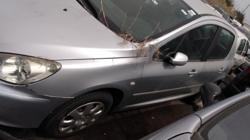  PEUGEOT 307 BERLINA (S2) 