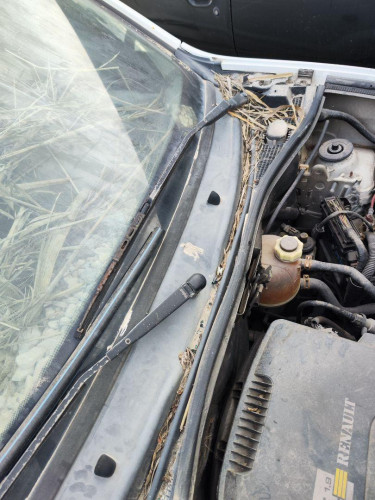 BRAZO LIMPIA DELANTERO IZQUIERDO, RENAULT, KANGOO I (F/KC0)