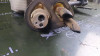 CALEFACCION ENTERA NORMAL TOYOTA LAND CRUISER (J15) 