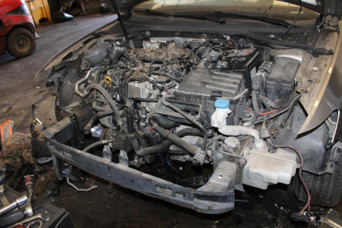  VOLKSWAGEN PASSAT BERLINA (3G2) 