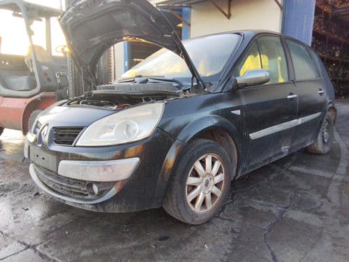  RENAULT SCENIC II (JM) 