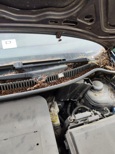 BRAZO LIMPIA DELANTERO IZQUIERDO Volkswagen POLO IV (9N1) 