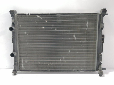 RADIADOR AGUA, RENAULT, SCENIC II (JM)