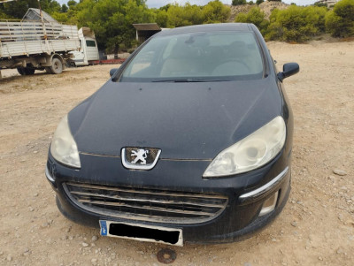 PEUGEOT 407