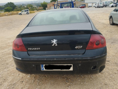 PEUGEOT 407