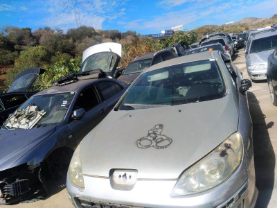 PEUGEOT 407