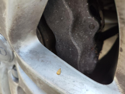 PINZA DE FRENO TRASERA DERECHA, AUDI, Q7 (4L)