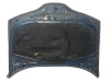  CAPO, RENAULT, LAGUNA II (BG0) 