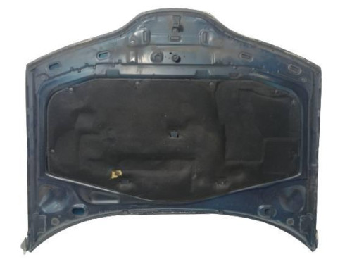  CAPO, RENAULT, LAGUNA II (BG0) 
