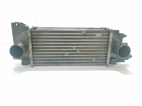  INTERCOOLER, LAND ROVER, FREELANDER (LN)(01.1998) 