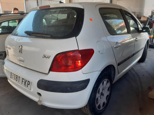  PEUGEOT 307 BERLINA (S2) 
