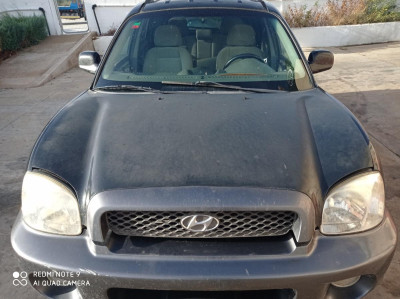 CAPO Hyundai Santa Fe (SM)(2001->)