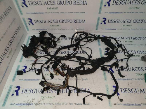  NO IDENTIFICADO 