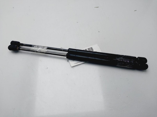 AMORTIGUADORES MALETERO / PORTON RENAULT CLIO II FASE I (B/CB0) 