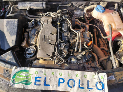 AUDI A6 BERLINA (4F2)