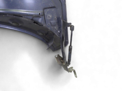 CAPO, RENAULT, SCENIC III (JZ)