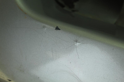 PARAGOLPES TRASERO, BMW, SERIE X5 (E53)