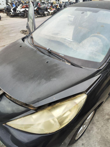 CAPO Peugeot 207 