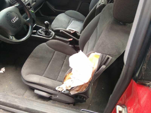  AUDI A3 (8L) 