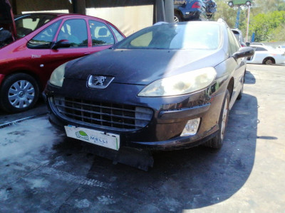 PEUGEOT 407 SW