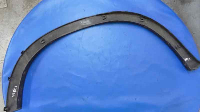 ALETIN TRASERO IZQUIERDO, BMW, SERIE X5 (E70)